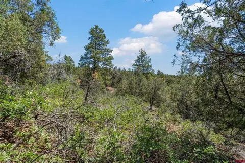 285 Logging Trail Rd, Durango, CO 81303 photo 8