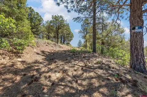 285 Logging Trail Rd, Durango, CO 81303 photo 13
