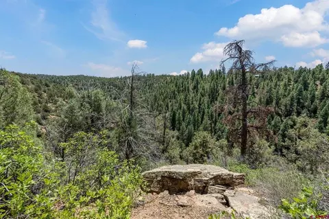 285 Logging Trail Rd, Durango, CO 81303 photo 5