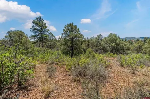 285 Logging Trail Rd, Durango, CO 81303 photo 12