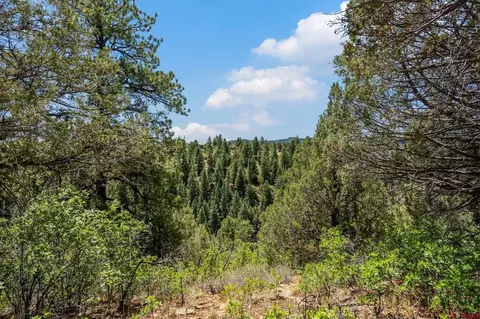 285 Logging Trail Rd, Durango, CO 81303 photo 9