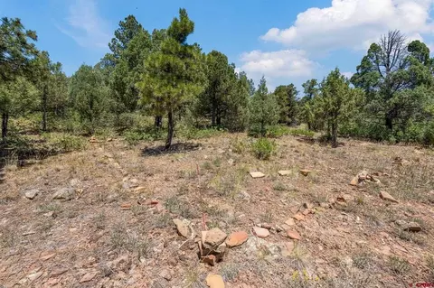 285 Logging Trail Rd, Durango, CO 81303 photo 10