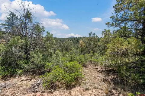 285 Logging Trail Rd, Durango, CO 81303 photo 7