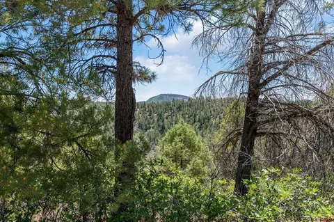 285 Logging Trail Rd, Durango, CO 81303 photo 6