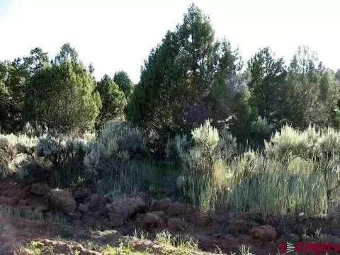 lot10 Juniper Dr, Norwood, CO 81423