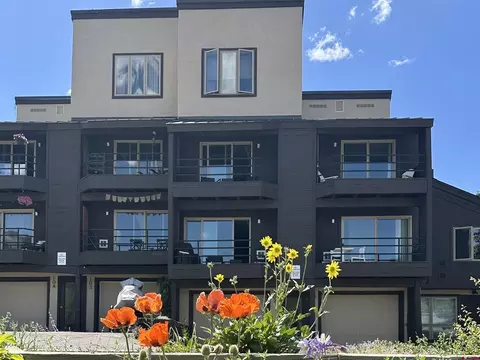 15 Marcellina Ln #102, Crested Butte, CO 81225