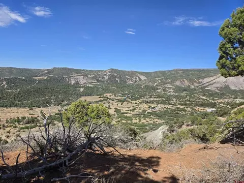 tbd La Posta Canyon Rd, Durango, CO 81303 photo 17