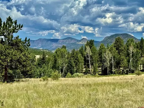 203 S Skyline Dr, South Fork, CO 81154
