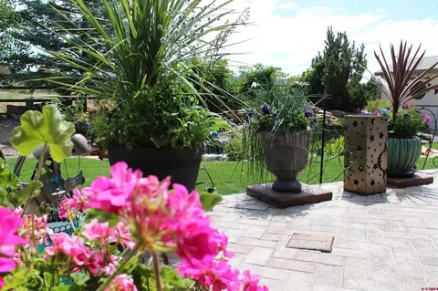 Exterior - 635 NE 2nd St, Cedaredge, CO 81413 photo 10 of 11