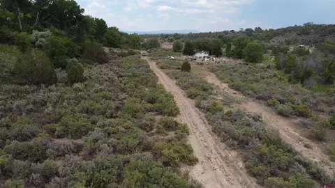 21538 Hamilton Rd, Eckert, CO 81418 photo 8
