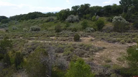 21538 Hamilton Rd, Eckert, CO 81418 photo 9