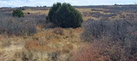 tbd Road C, Dove Creek, CO 81324