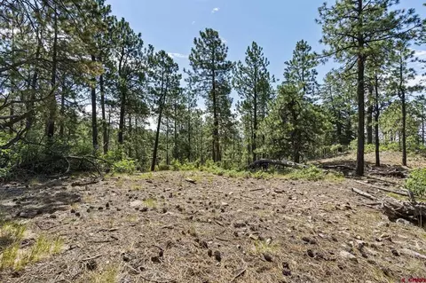 319 Blue Ridge Cir, Bayfield, CO 81122