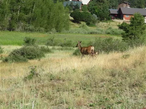 310 Sundown Dr, Creede, CO 81130