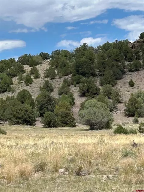 tbd Tbd, La Jara, CO 81140