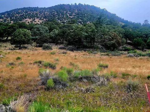 531 Bear Creek Cir, South Fork, CO 81154