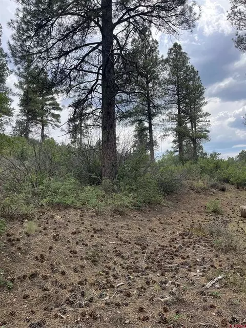 181 River Run Dr, Pagosa Springs, CO 81147