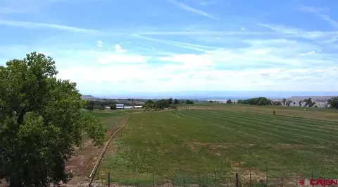 lot26 Bull Mesa Rd, Cedaredge, CO 81413
