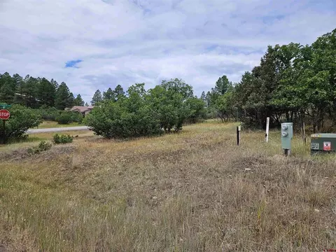 8 Caballero Dr, Pagosa Springs, CO 81147