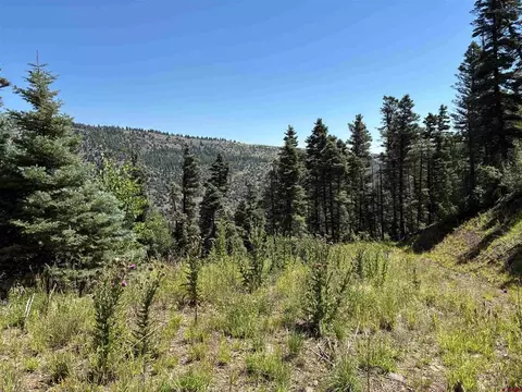 1435 Clarke Mountain Ln, Antonito, CO 81120