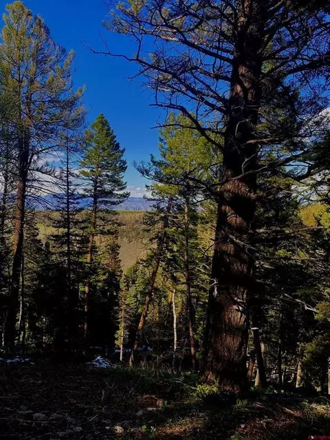 152 Crest Dr, Cimarron, CO 81220 photo 1
