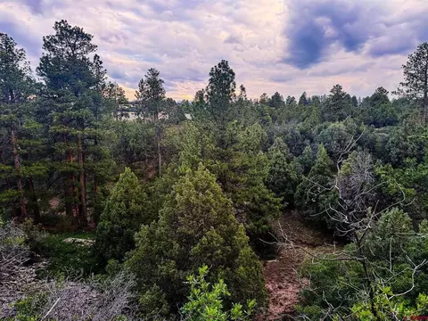 190 Hummingbird Trl, Ridgway, CO 81432