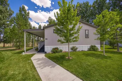 901 6530 Rd #3217, Montrose, CO 81401