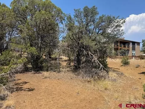 39 Salt Brush St, Durango, CO 81301 photo 5
