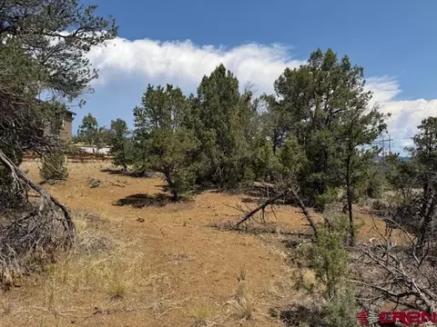 39 Salt Brush St, Durango, CO 81301 photo 6