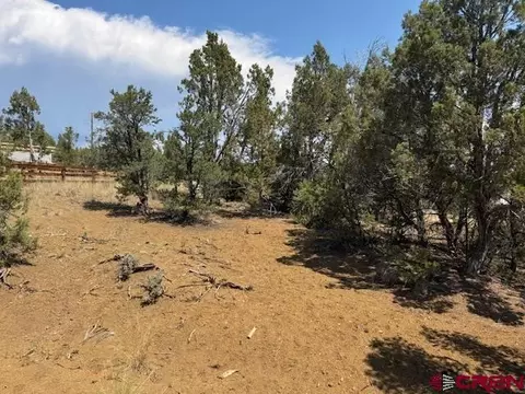 39 Salt Brush St, Durango, CO 81301 photo 7