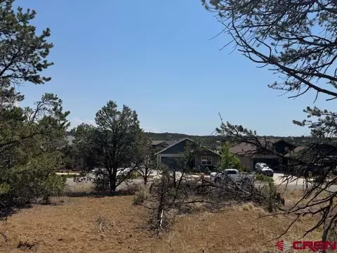 39 Salt Brush St, Durango, CO 81301 photo 8
