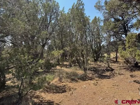 39 Salt Brush St, Durango, CO 81301 photo 9
