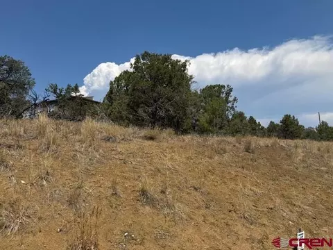 39 Salt Brush St, Durango, CO 81301 photo 4
