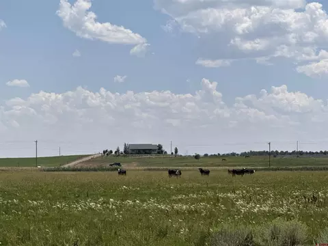 tbd Hwy 172, Ignacio, CO 81137 photo 4