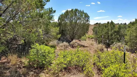 tbd Road 155, Yellow Jacket, CO 81327