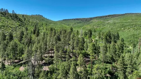 tbd County Road 240, Durango, CO 81301