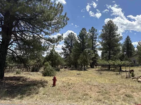 tbd 326 Bear Cub Dr, Ridgway, CO 81432