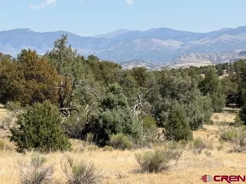 Parcel 3 Pinon Hill Road, South Fork, CO 81154