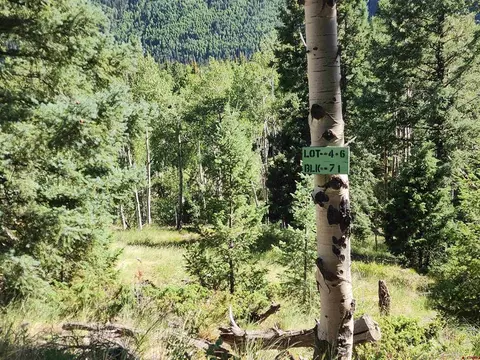 Blk 71 Lots 4-6, Jasper, CO 81144
