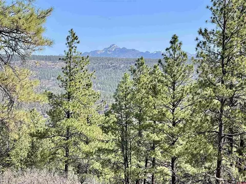 252 Starlight Pl, Pagosa Springs, CO 81147