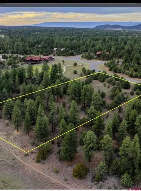 52 White Tail Ln, Ridgway, CO 81432