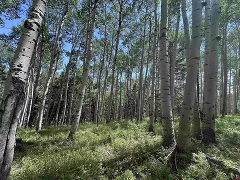 583 Crest Dr, Cimarron, CO 81220
