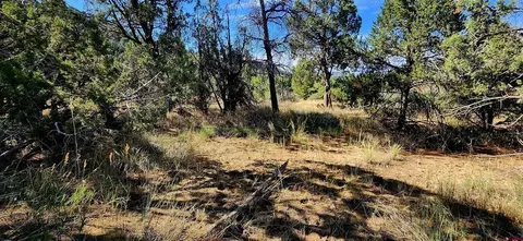 942 Rainbow Rd, Durango, CO 81303 photo 6