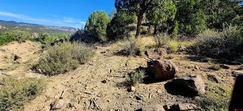 942 Rainbow Rd, Durango, CO 81303 photo 9