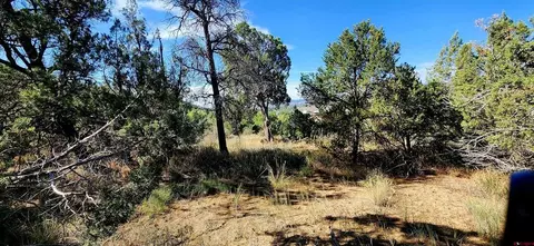 942 Rainbow Rd, Durango, CO 81303 photo 8