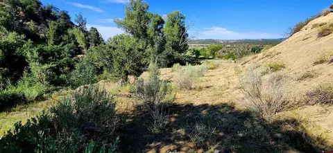 942 Rainbow Rd, Durango, CO 81303 photo 4