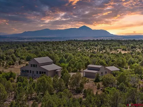 14466 Road 321, Mancos, CO 81328