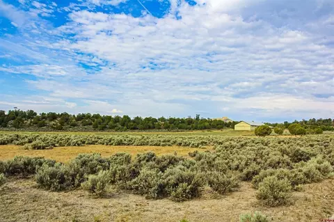 320 County Road 329, Ignacio, CO 81137 photo 30