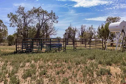 320 County Road 329, Ignacio, CO 81137 photo 27