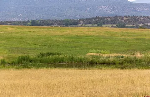 320 County Road 329, Ignacio, CO 81137 photo 34